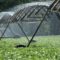 The Best Irrigation Practices to Use in Kenya